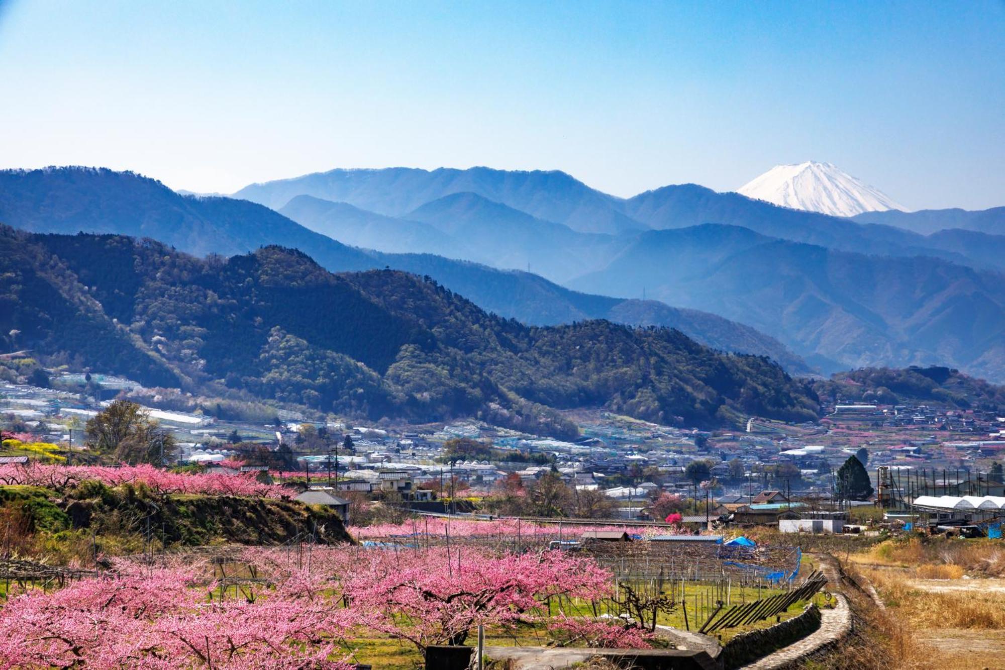 ホテル 楽せりな 笛吹市 エクステリア 写真